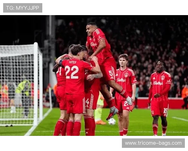 诺丁汉森林主场憾平富勒姆